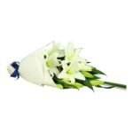 Flores para Velorios
